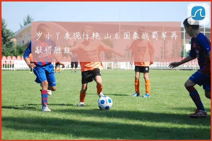 岁小丫表现惊艳 山东国象战蜀军再敲得胜鼓