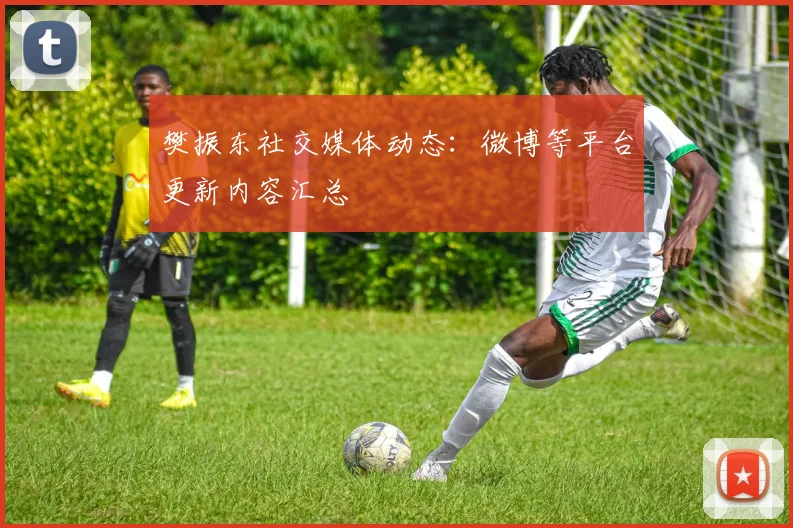 樊振东社交媒体动态：微博等平台更新内容汇总