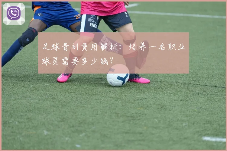 足球青训费用解析:培养一名职业球员需要多少钱?