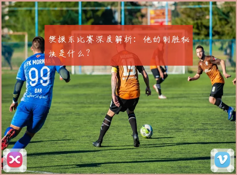 樊振东比赛深度解析:他的制胜秘诀是什么?