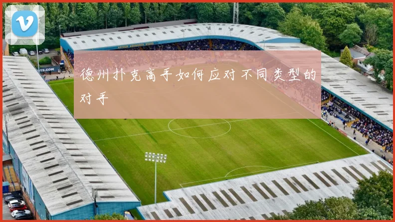 德州扑克高手如何应对不同类型的对手