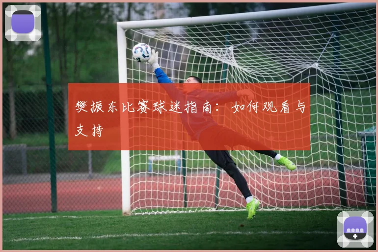 樊振东比赛球迷指南：如何观看与支持