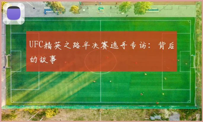 UFC精英之路半决赛选手专访:背后的故事