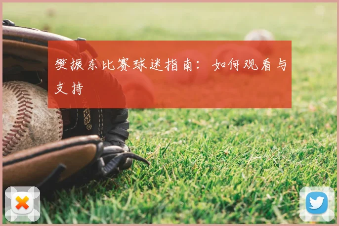樊振东比赛球迷指南:如何观看与支持