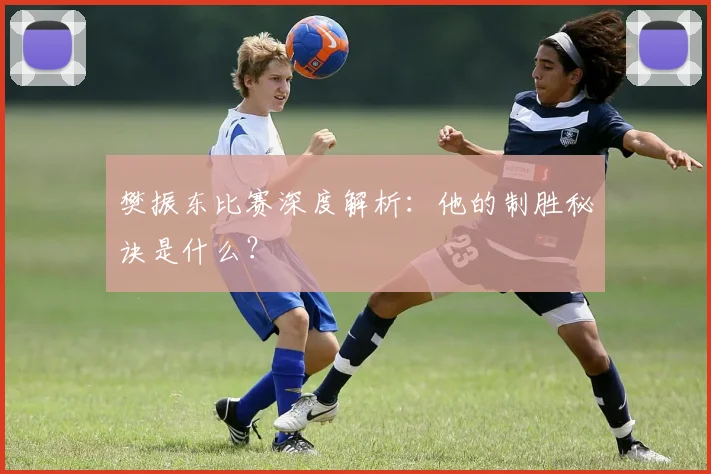 樊振东比赛深度解析：他的制胜秘诀是什么？